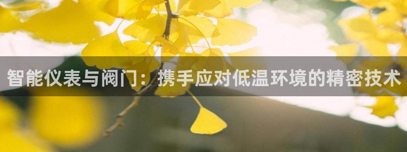 云顶集团有限公司简介资料