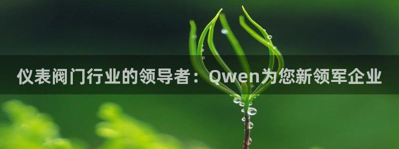 云顶国际集团开发有限公司