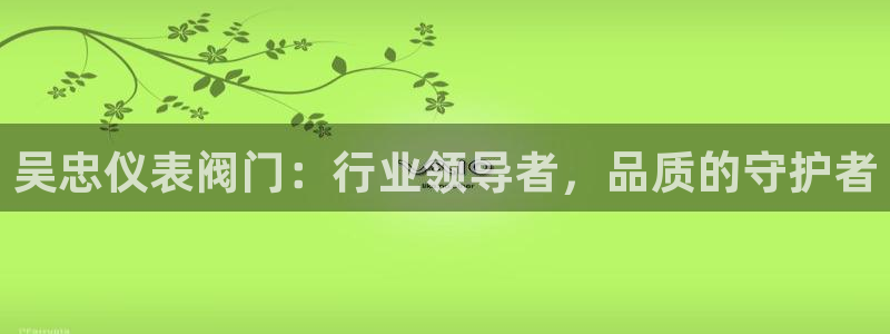 云顶国际服服务端错误