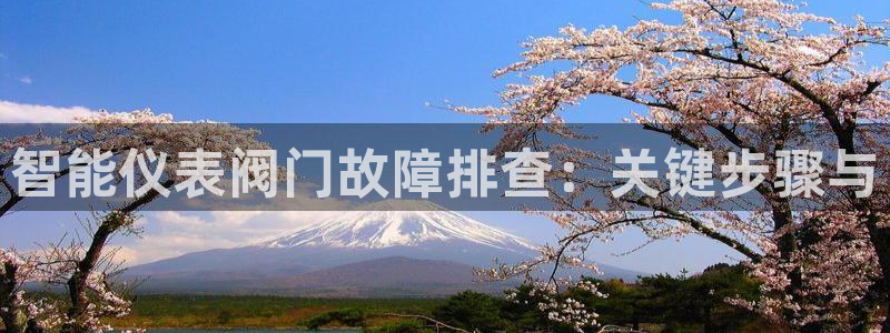 云顶国际物流官网电话