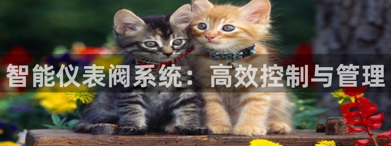 云顶国际服过年有没有福星