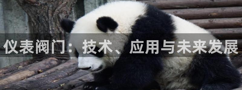 云顶国际logo
