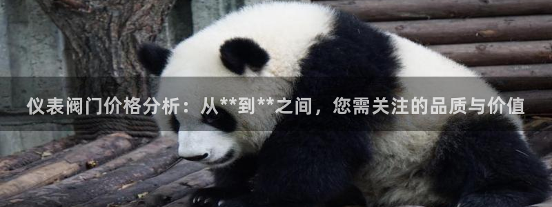 云顶国际不出款怎么办