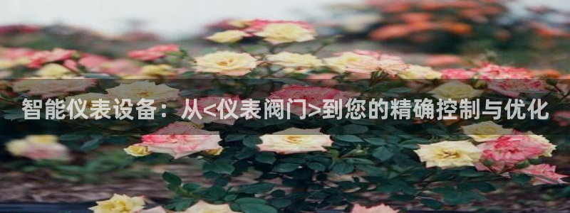 云顶集团3118acm