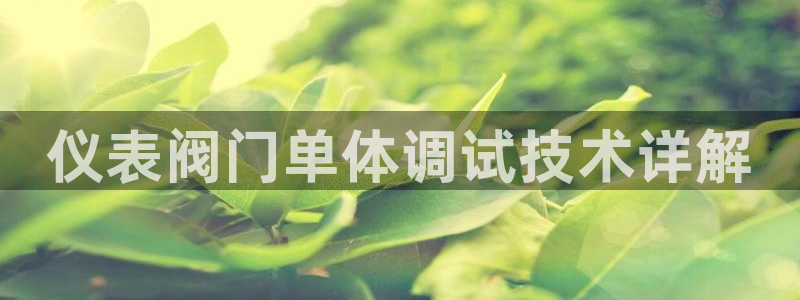 云顶国际下载APP