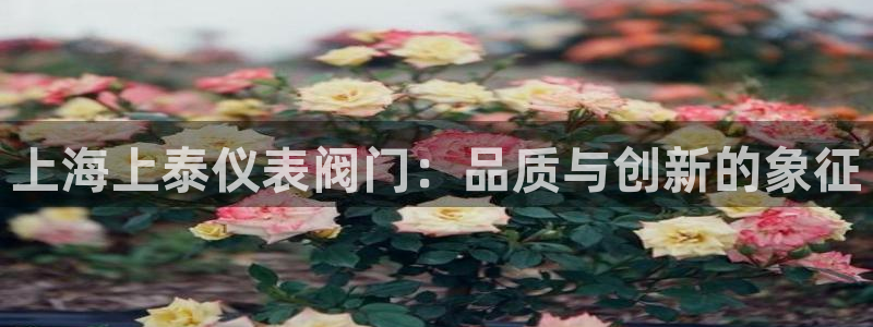 云顶国际商业广场 停车