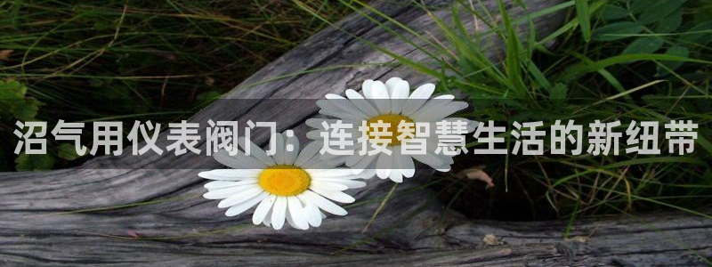 云顶国际集团游戏官网