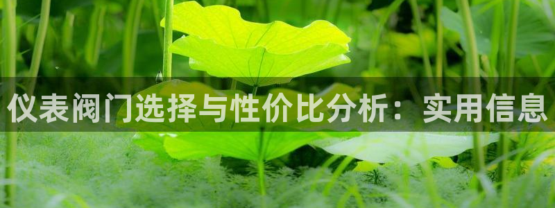 云顶集团3118app下载