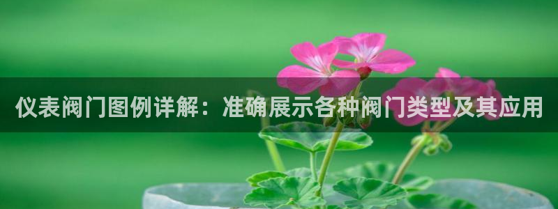 云顶国际