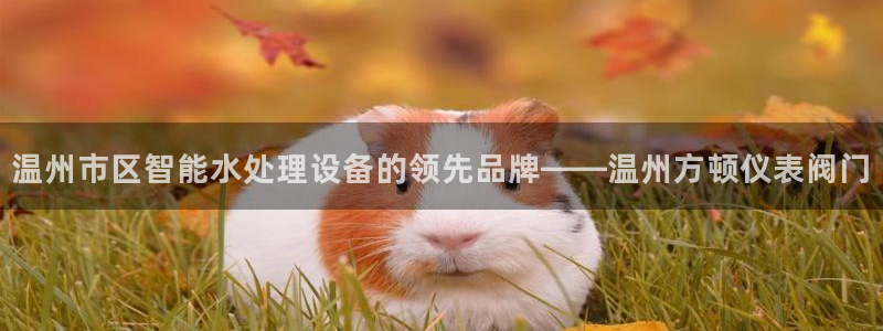 云顶com