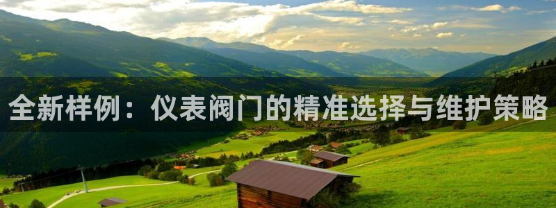 云顶国际大酒店老板