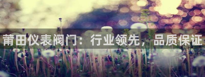 云顶集团有限公司简介概况