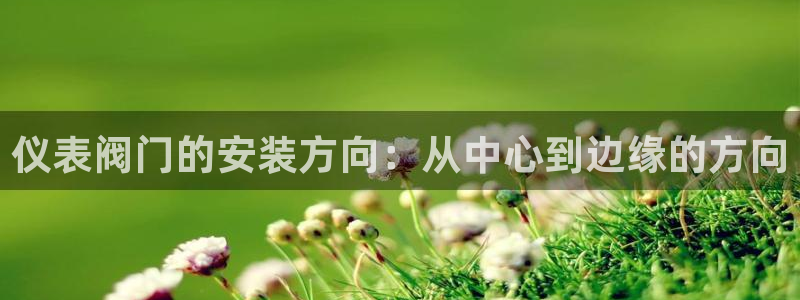 云顶集团有限公司简介概况