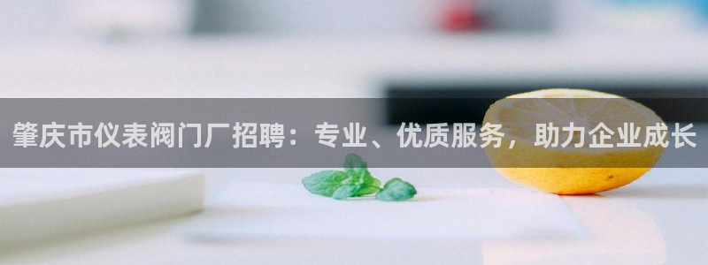 云顶集团有限公司简介资料