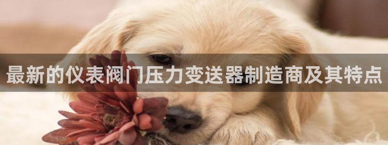 云顶集团网站安全吗