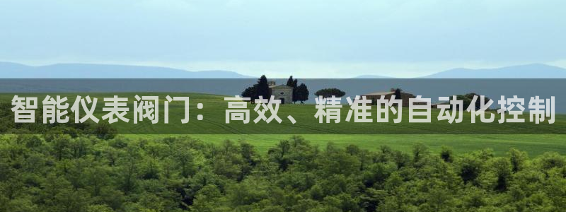 云顶国际软装公司怎么样知乎