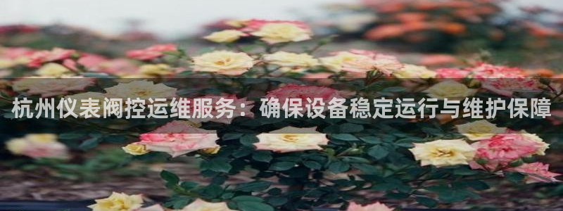 云顶国际服自定义