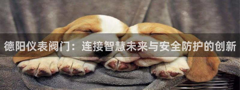 云顶国际app免费下载安装