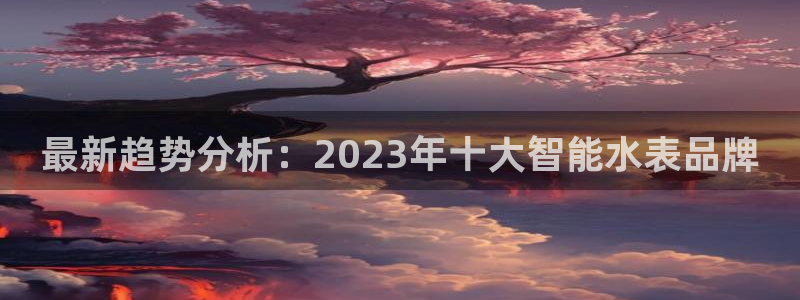 云顶国际大酒店老板