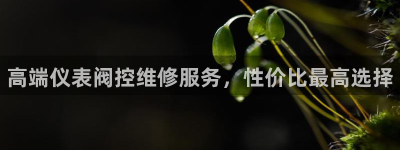 云顶国际集团游戏官网