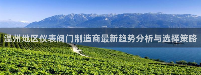 太原云顶国际酒店老板