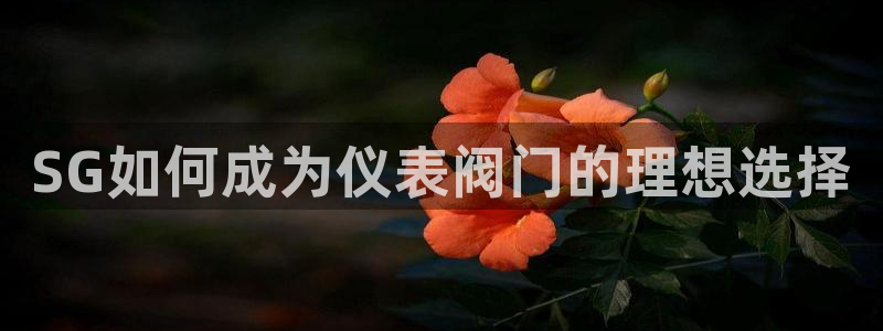 云顶国际音乐会