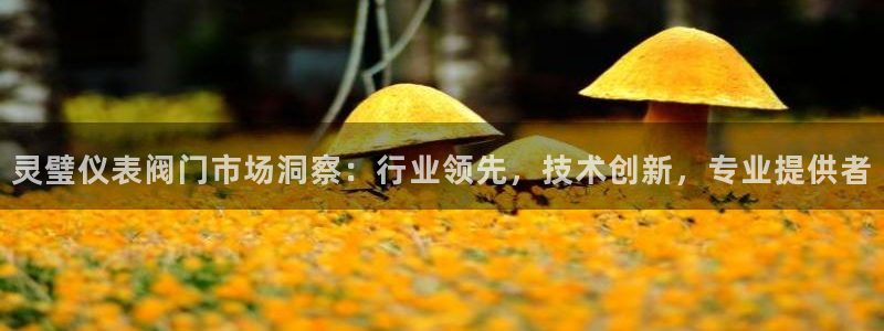 云顶国际平台为什么提现不了