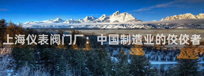 云顶集团董事长林东