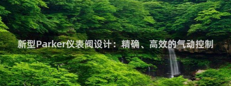 云顶国际服更新s9