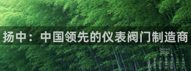 云顶国际服s11什么时候上线